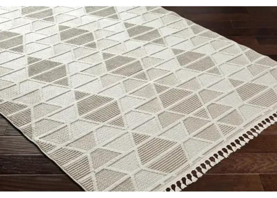 Finland FND-2301 5'3" x 7' Machine Woven Rug