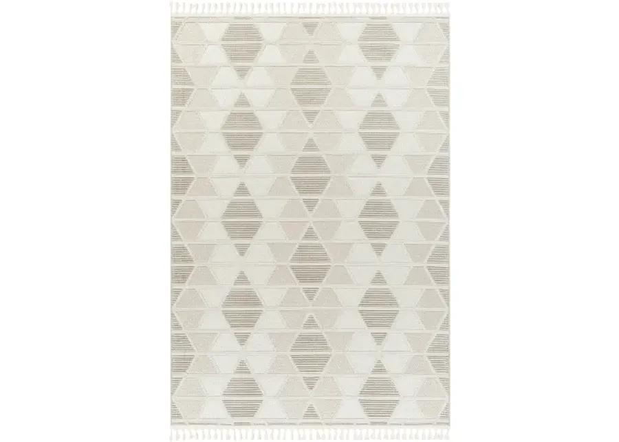 Finland FND-2301 5'3" x 7' Machine Woven Rug