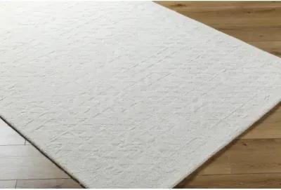 Rize RZE-2310 9' x 12' Hand Made Rug