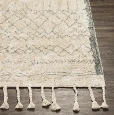 Khemisset 2'6" x 4' Rug