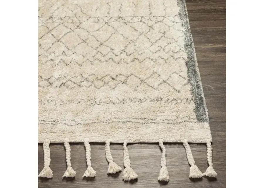 Khemisset 2'6" x 4' Rug