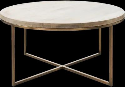 Liana Odd Shape Coffee Table