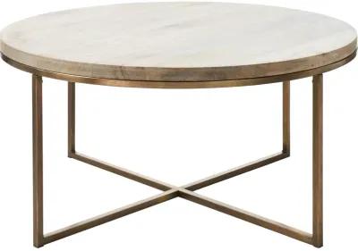 Liana Odd Shape Coffee Table