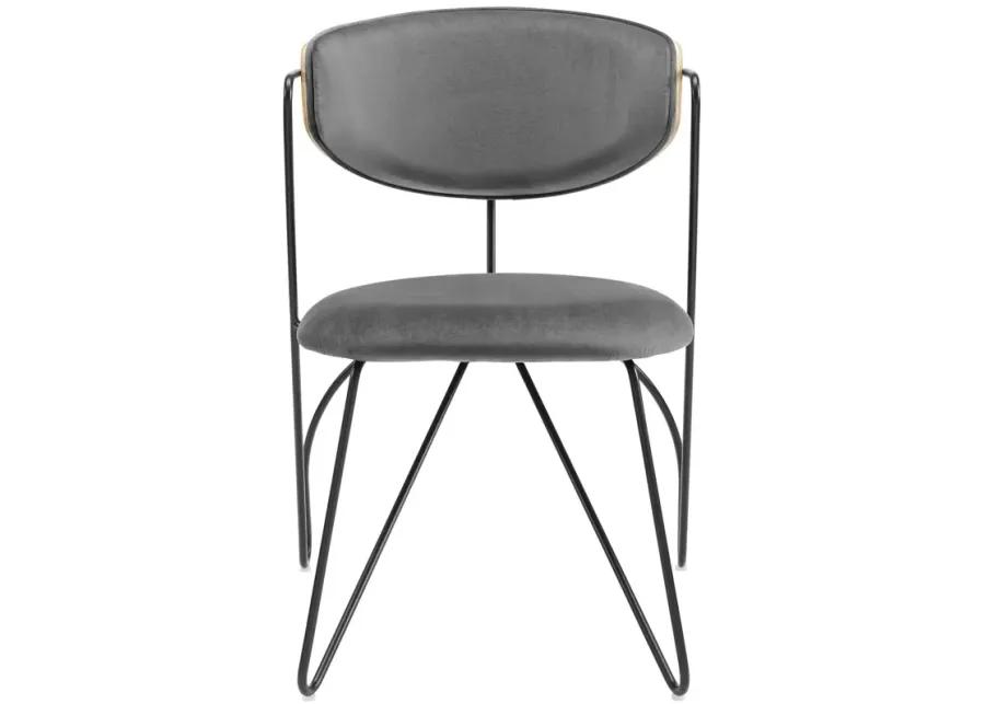 Prevail Dining Chair