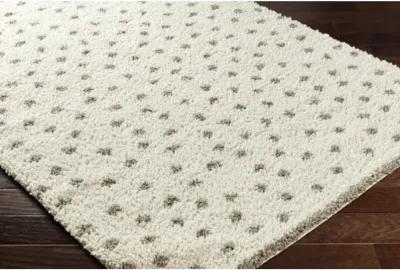 Birmingham BMM-2302 7'10" x 10' Machine Woven Rug