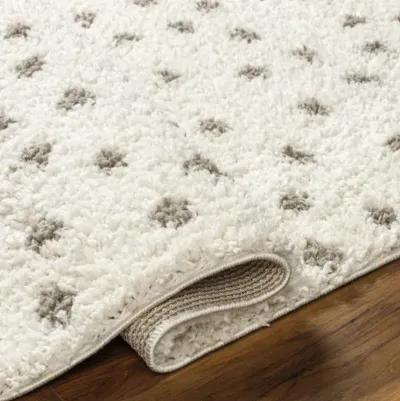 Birmingham BMM-2302 7'10" x 10' Machine Woven Rug