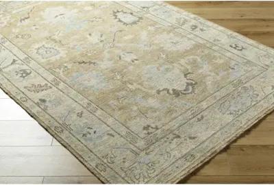 Reign REG-2316 8' x 10' Handmade Rug