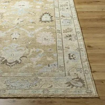 Reign REG-2316 8' x 10' Handmade Rug