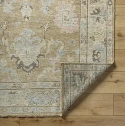 Reign REG-2316 8' x 10' Handmade Rug