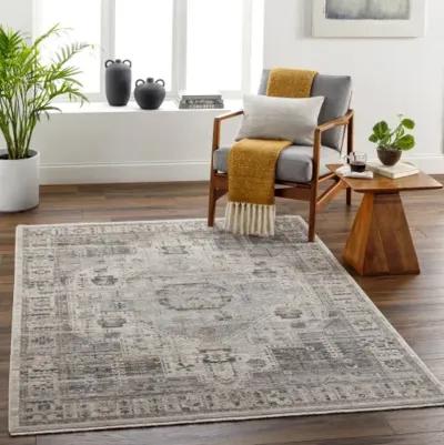 Aida AAD-2307 8'10" x 13' Machine Woven Rug