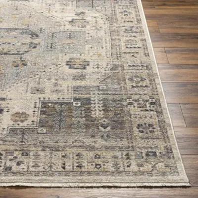 Aida AAD-2307 8'10" x 13' Machine Woven Rug