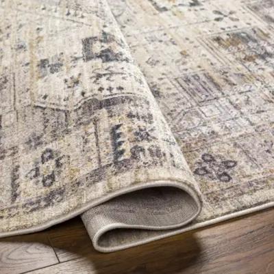 Aida AAD-2307 8'10" x 13' Machine Woven Rug