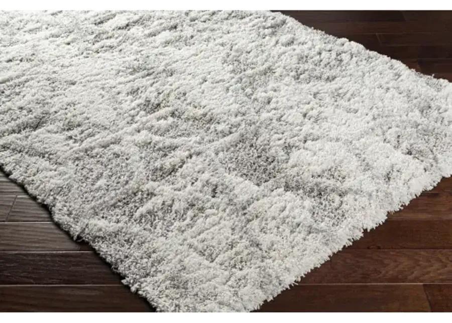 Alta shag 7'10" x 10' Rug