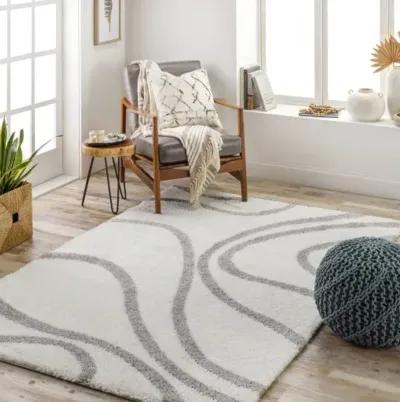 Cloudy Shag CDG-2300 5'3" x 7' Machine Woven Rug