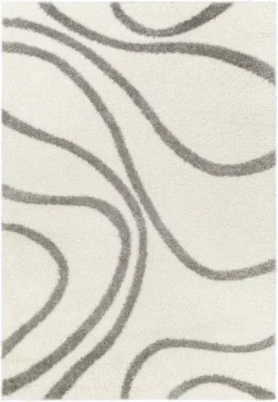 Cloudy Shag CDG-2300 5'3" x 7' Machine Woven Rug