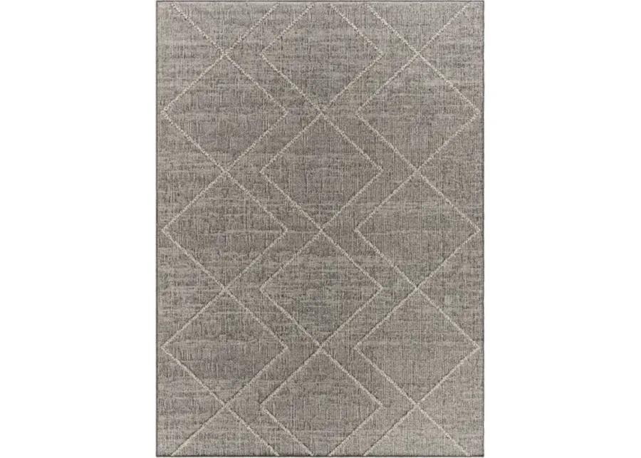 Sarasota SSO-2306 5' x 7' Machine Woven Rug