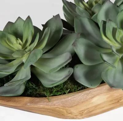 Yuma Succulent Centerpiece