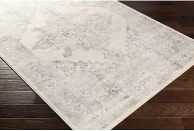 Roma ROM-2322 2'7" x 7'3" Rug