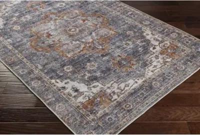 Tahmis THI-2701 2'7" x 7'10" Rug