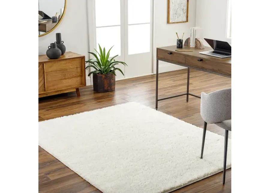 Moda Shag MOG-2302 3'11" x 5'11" Machine Woven Rug