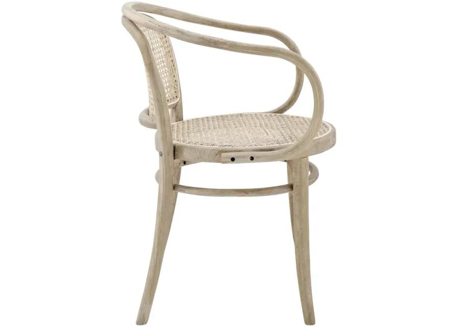 Oliana Wood Dining Armchair