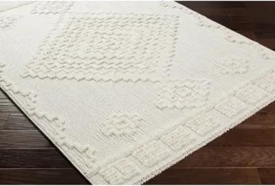 Zaragoza ZRZ-2316 2'7" x 7'3" Rug