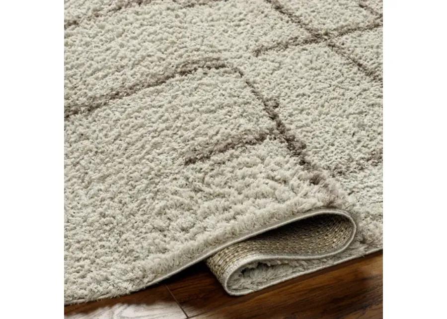 Maryland Shag MSG-2306 6'7" x 9' Machine Woven Rug