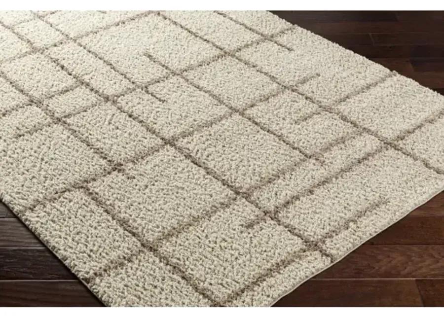 Maryland Shag MSG-2306 6'7" x 9' Machine Woven Rug