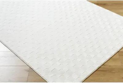 Alder ALD-2320 1'11" x 3'9" Machine Woven Rug