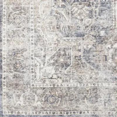 Tahmis THI-2700 2'7" x 7'10" Rug