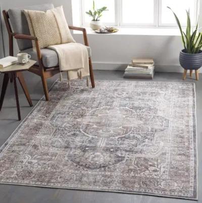 Tahmis THI-2700 2'7" x 7'10" Rug