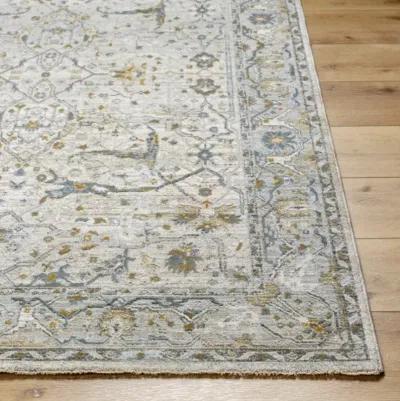 Dresden DRE-2309 2'7" x 3'11" Machine Woven Rug