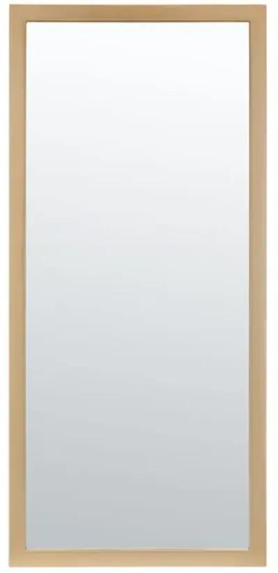 PRAVINA MIRROR