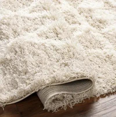 Urban Shag USG-2345 2'7" x 7'3" Machine Woven Rug