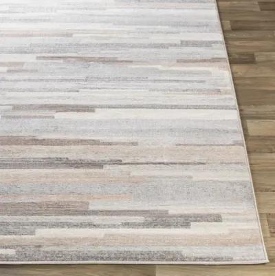 Roma ROM-2302 2'7" x 7'3" Rug