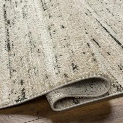 Rudy RDY-2300 6'7" x 9' Machine Woven Rug