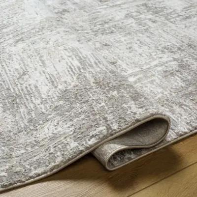 Allegro 5'3" x 7' Rug