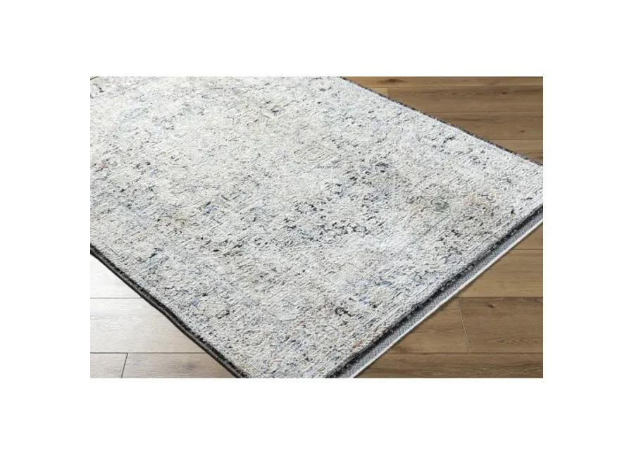 Rivaldo RVD-2304 2'7" x 7'10" Machine Woven Rug