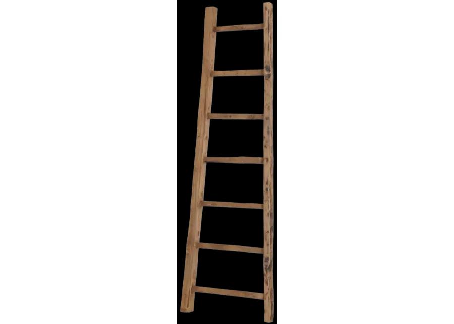 D-Bodhi Ladder