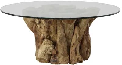 Driftwood Glass Top Large Coffee Table