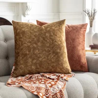 Collins 20"H x 20"W Pillow Cover