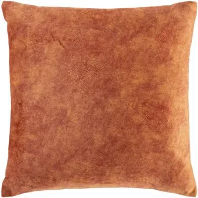 Collins 20"H x 20"W Pillow Cover