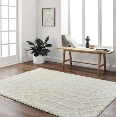 Rodos RDO-2343 5'3" x 7' Machine Woven Rug