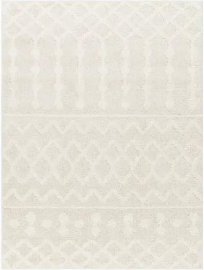 Rodos RDO-2343 5'3" x 7' Machine Woven Rug