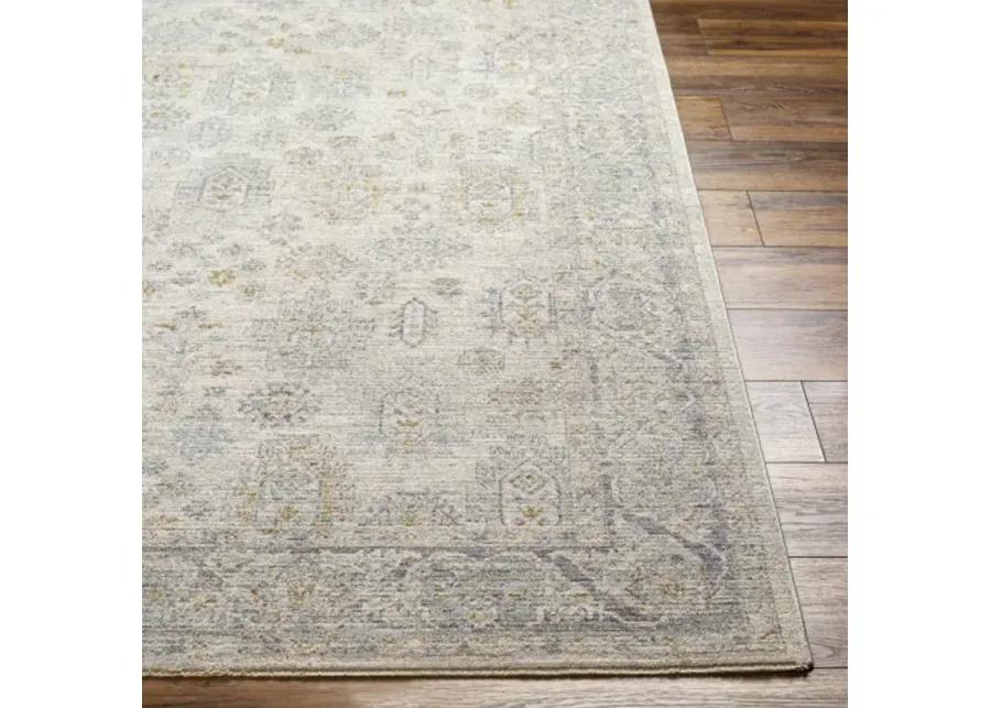 Avant Garde AVT-2342 2'7" x 7'3" Rug