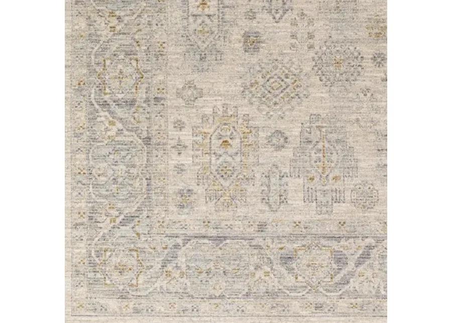 Avant Garde AVT-2342 2'7" x 7'3" Rug