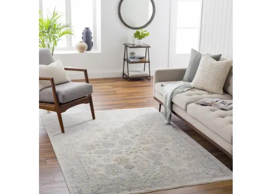 Avant Garde AVT-2342 2'7" x 7'3" Rug