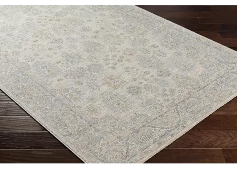 Avant Garde AVT-2342 2'7" x 7'3" Rug