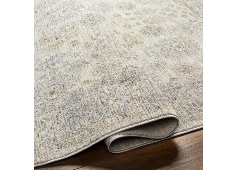 Avant Garde AVT-2342 2'7" x 7'3" Rug