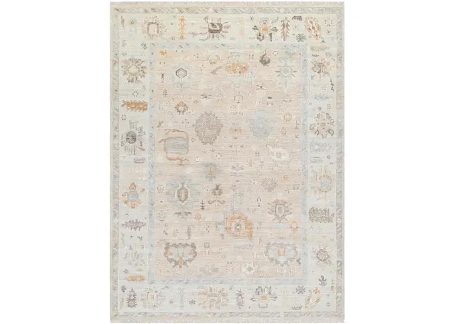 Antalya AAT-2314 9' x 12' Handmade Rug